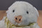 King Plush White Pig Plush
