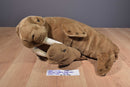 Bon-Ton National Wildlife Federation Walrus and Calf 1996 Plush