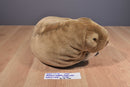 Bon-Ton National Wildlife Federation Walrus and Calf 1996 Plush