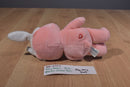 Play Along Care Bears Cheer Bear with Bunny Ears 2003 Beanbag Plush