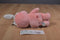 Play Along Care Bears Cheer Bear with Bunny Ears 2003 Beanbag Plush