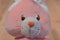 Play Along Care Bears Cheer Bear with Bunny Ears 2003 Beanbag Plush