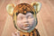 Anne Geddes Tiger Baby Doll 2000 Beanbag Plush