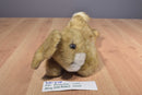 MJC Purr-fection Honey Gold Bunny Rabbit 1992 Beanbag Plush