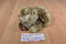 Walmart Brown Spotted Dark Eared Bunny Rabbit Beanbag Plush