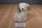 Dan Dee Vase Hugger White Bear with Green Bow Plush