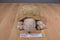 Aurora Brown Tortoise Turtle Beanbag Plush