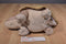 Aurora Brown Tortoise Turtle Beanbag Plush