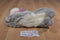 Walmart Grey and White Bunny Rabbit Beanbag Plush