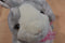 Walmart Grey and White Bunny Rabbit Beanbag Plush