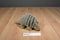 Yippie Yi Yay Grey Armadillo Plush