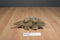 Yippie Yi Yay Grey Armadillo Plush
