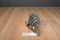 Yippie Yi Yay Grey Armadillo Plush