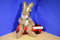 Russ Clifford Brown and White Bunny Rabbit Plush