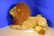 Disney Lion King Adult Simba Hand Puppet Plush