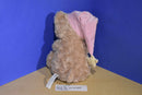 Toys R Us Bedtime Teddy Bear with Pink Hat and Blanket 2013 Beanbag Plush