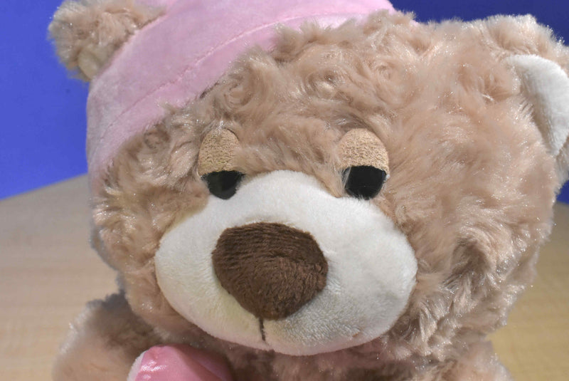 Toys R Us Bedtime Teddy Bear with Pink Hat and Blanket 2013 Beanbag Plush