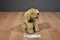 Yang Jee Gander Gang Dixie Golden Lab Plush