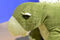 Animal Adventure Green Stegosaurus 2014 Beanbag Plush