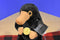 Warner Bros. J.K. Rowlings Fantastic Beasts Niffler With Coin Plush