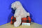 Baby Ganz Bellifuls Pink White Puppy Rattle Plush