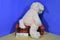 Baby Ganz Bellifuls Pink White Puppy Rattle Plush
