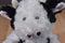 Pier 1 Gertrude Holstein Cow Plush