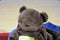 Tiddliwinks Brown Bear With Green Car Security Blanket