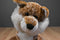 Sitting Red Fox Beanbag Plush