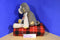 Scentsy Buddy Mollie the Brown Monkey 2010 Beanbag Plush