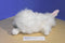 AGC White Cashmere Bunny Rabbit Plush