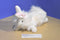 AGC White Cashmere Bunny Rabbit Plush