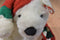 Ty Classic Holiday Bear 1997 Beanbag Plush