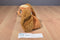 Just Play Disney Lady and The Tramp Lady Plush