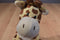 Ty Pluffies Tiptop the Giraffe 2016 Beanbag Plush