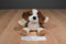 Scentsy Buddy Baby Patch St. Bernard Puppy 2012 Beanbag Plush