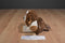 Scentsy Buddy Baby Patch St. Bernard Puppy 2012 Beanbag Plush