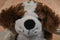 Scentsy Buddy Baby Patch St. Bernard Puppy Dog 2012 Beanbag Plush