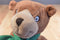 Kohl's Cares You're All My Favorites Bear Plushes and Book