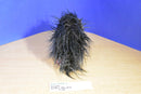 Douglas Jethro Porcupine 2015 Plush