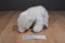 National Geographic Polar Bear Beanbag Plush
