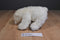 National Geographic Polar Bear Beanbag Plush