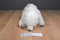 National Geographic Polar Bear Beanbag Plush