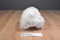 National Geographic Polar Bear Beanbag Plush