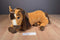 Just Play DreamWorks Spirit Horse 2018 Plush