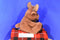 Aurora Taddle Toes Maple Moose Plush