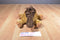 A&A Stomping Stegosaurus Beanbag Plush