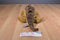 A&A Stomping Stegosaurus Beanbag Plush