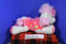 Aurora Bright Fancies Popsicle Pupsicle Pink White Poodle Dog 2014 Beanbag Plush