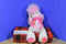 Aurora Bright Fancies Popsicle Pupsicle Pink White Poodle Dog 2014 Beanbag Plush